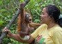 Una asistente del Centro de Cuidado y Cuarentena para Orangutanes", en Borneo cuida a un orangutan